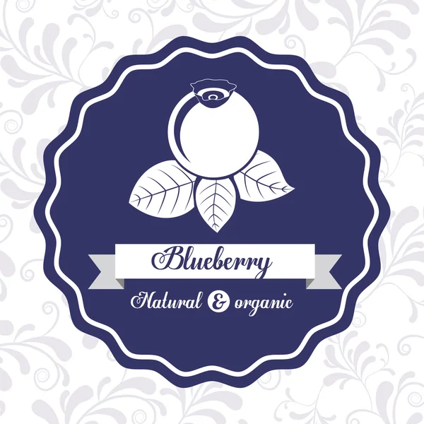 Blueberry-finom design — Stock Vector