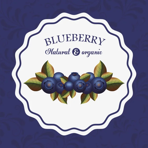 Blueberry-finom design — Stock Vector