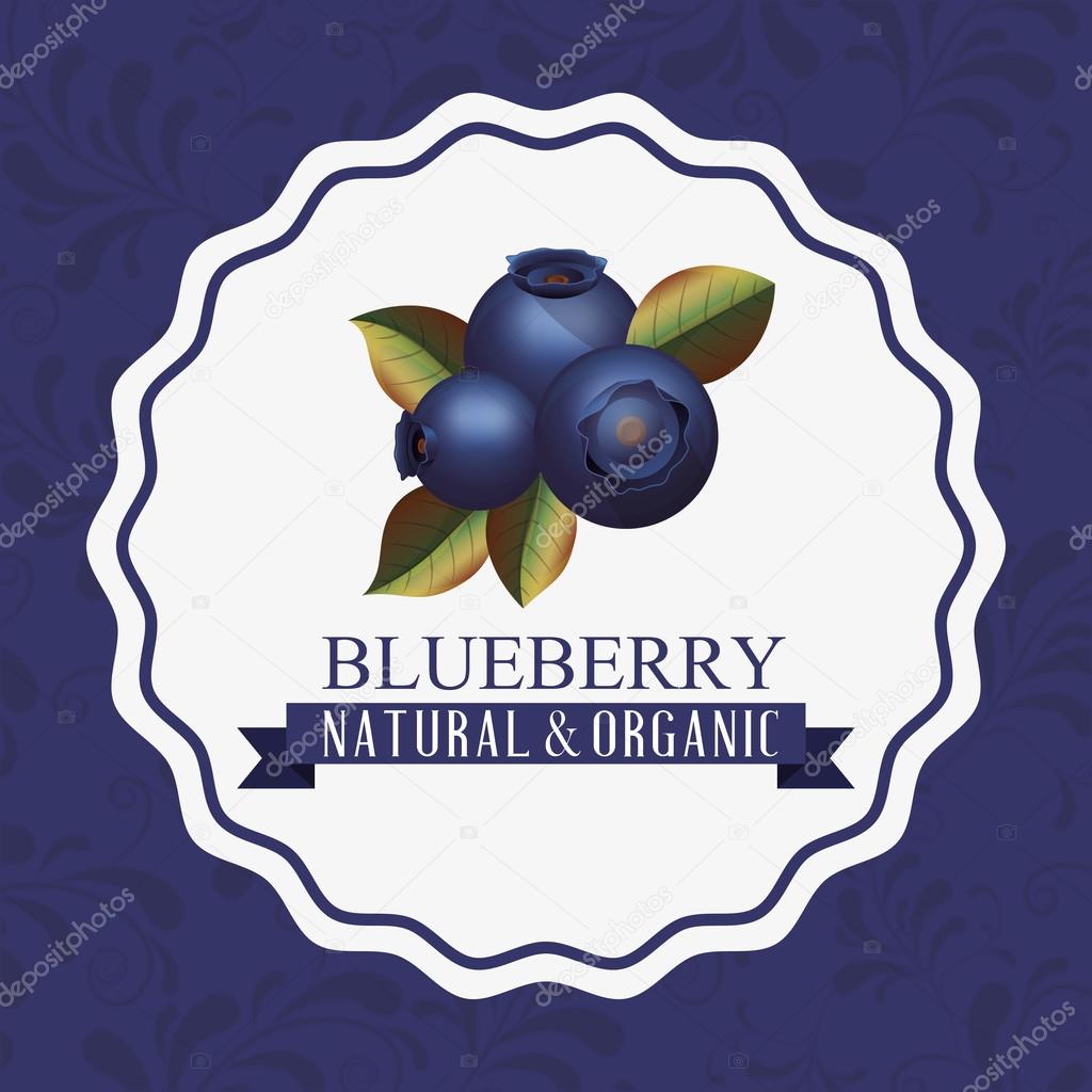 delicious blueberry design