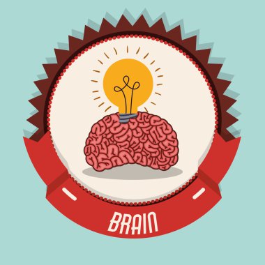 İnsan beyni tasarımı