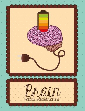 İnsan beyni tasarımı