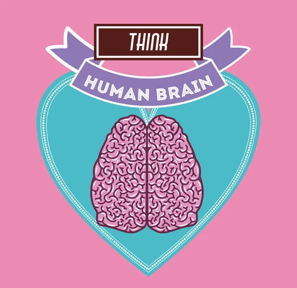 Diseño del cerebro humano — Vector de stock