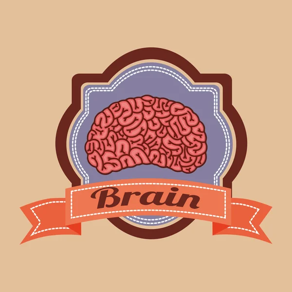 Menneskelig hjerne design – Stock-vektor