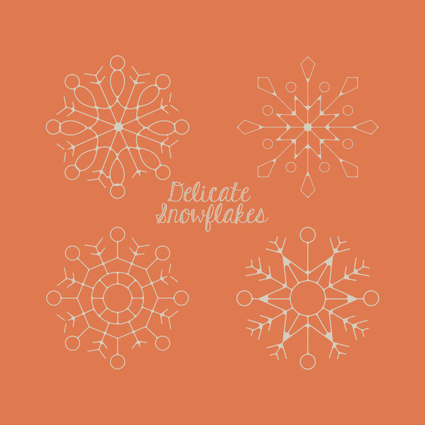 snowflake concept design