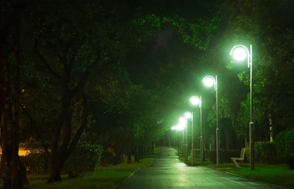 Strada attraverso parco illuminato da lampioni — Foto Stock