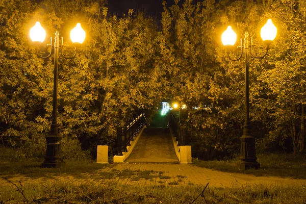 Ponte de pedra no parque da cidade à noite — Fotografia de Stock