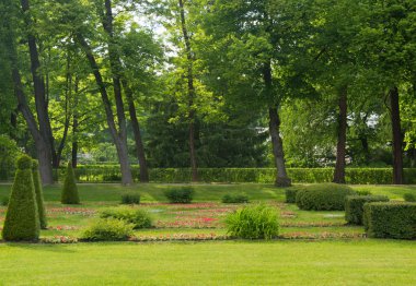 Yaz aylarında parkta manikürlü çim