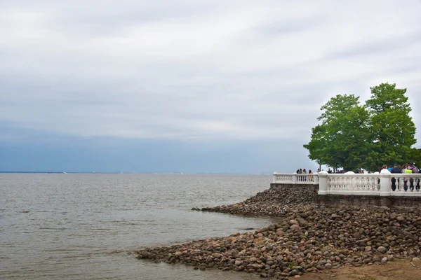 Gärdsgården på Bay — Stockfoto