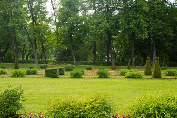 Välklippta gräsmattan i parken i sommar — Stockfoto