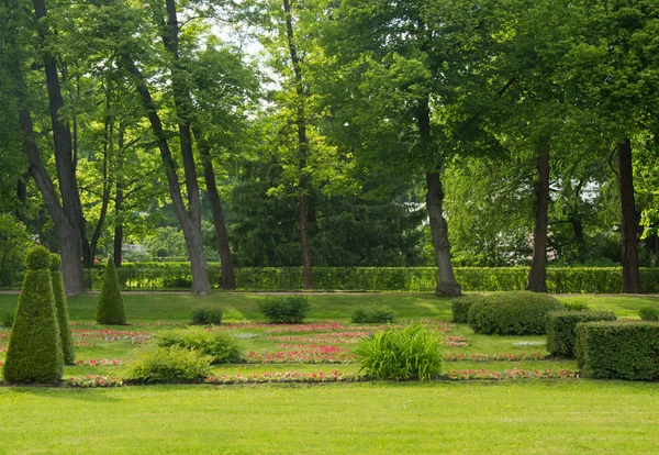 Manicured lawn in the park in summer — Stock Photo, Image