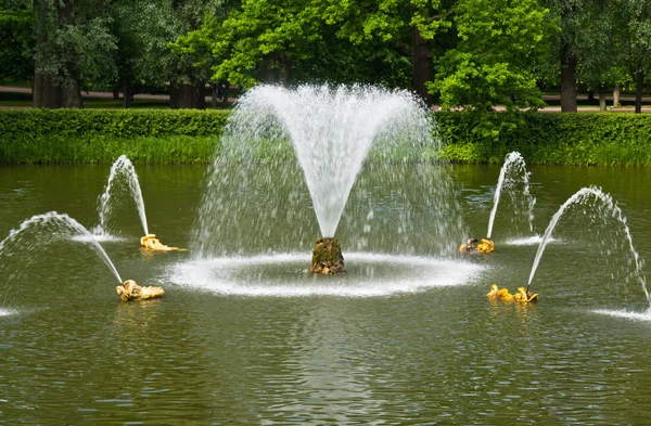 Fontein in een vijver in de zomerdag Stockafbeelding