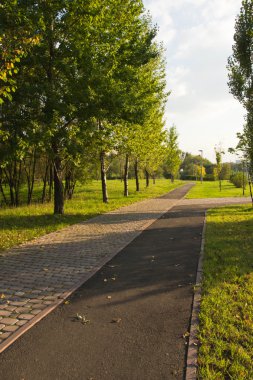 kaldırım Sonbahar Park