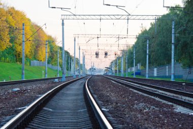 autumn forest near the railway
