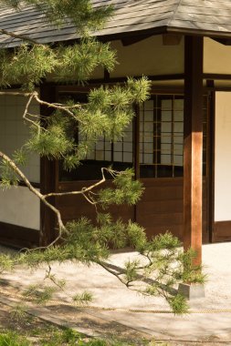 güzel Japon bahçe evde 