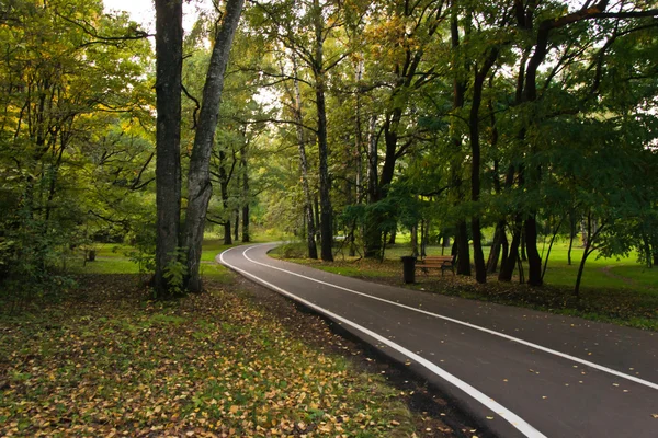 Дорога в осінньому лісі — стокове фото