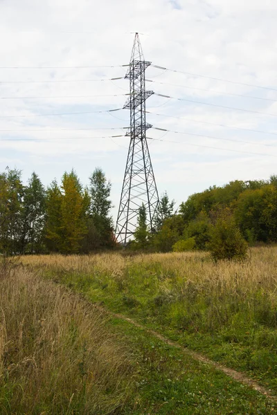 Лінія електропередач в осінньому лісі — стокове фото