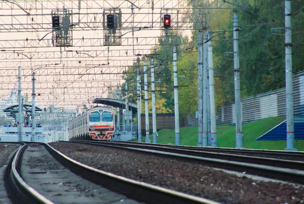 Trem chega à plataforma na floresta — Fotografia de Stock