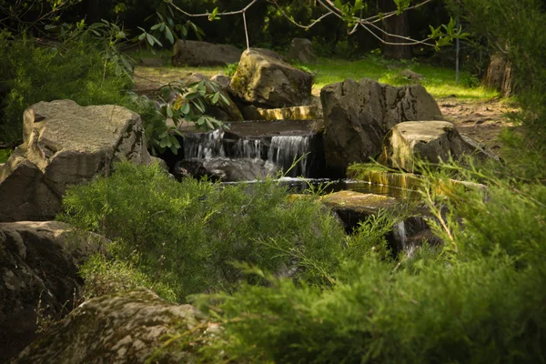 公園内の小さな滝 — ストック写真