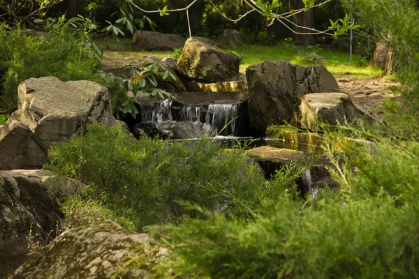 庭の小さな滝 — ストック写真