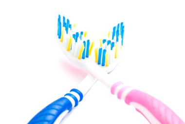 pembe ve mavi diş fırçaları portre