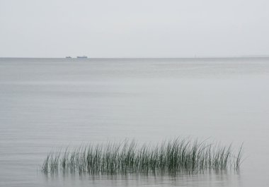 Açık denizde ticaret gemileri