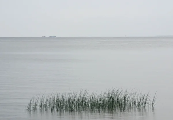 Obchodní lodě na otevřeném moři — Stock fotografie