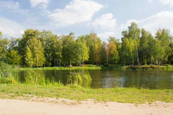 Staw, wśród drzew jesienią — Zdjęcie stockowe