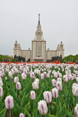 Lale tarihi binanın önünde