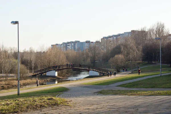 Мост через реку в парке — стоковое фото