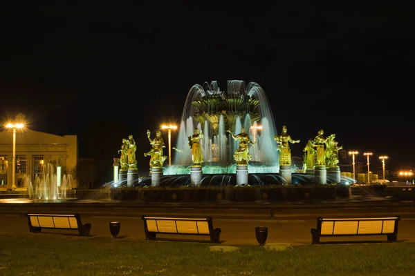 Fontana con belle sculture di notte — Foto Stock