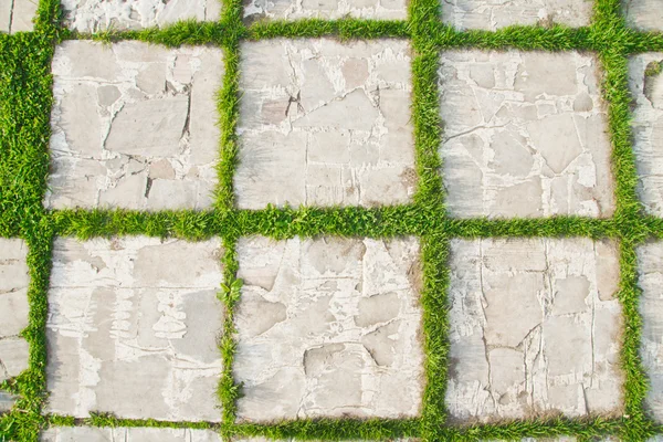 green grass on pavement slab