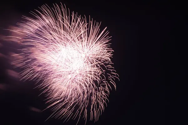 Mooie roze vuurwerk in de donkere hemel — Stockfoto