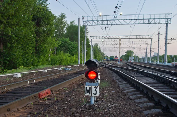 Señal de semáforo rojo en el ferrocarril en verano — Foto de Stock