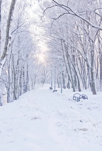 Sendero nevado en invierno — Foto de Stock