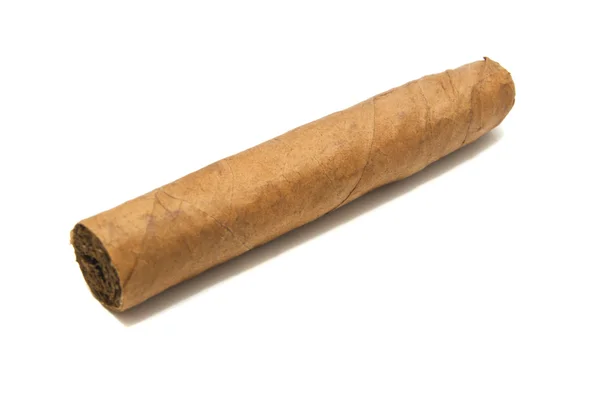 Single cuban cigar — Stock Photo, Image