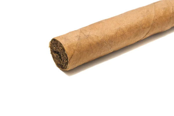 Single cigar on white — Stock Photo, Image