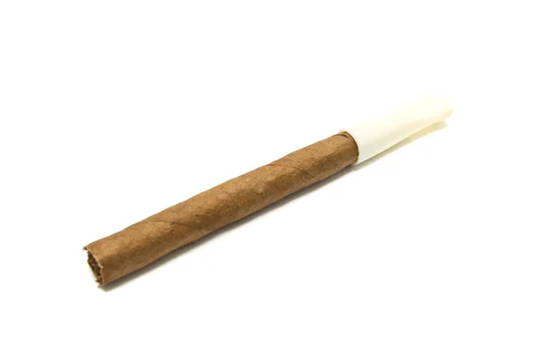 Cigarillo with mouthpiece on white — Stock Photo, Image