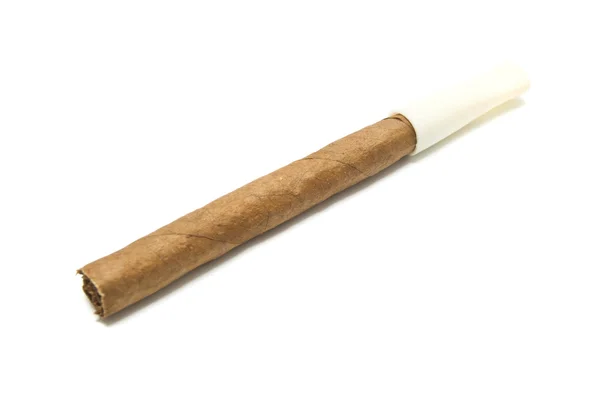 One Cigarillo with mouthpiece — Stock Photo, Image