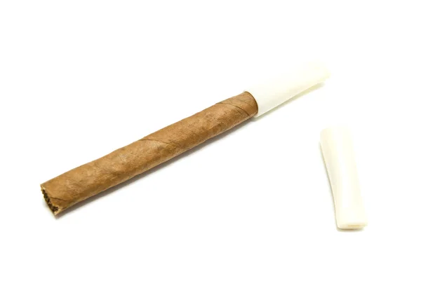 Einzelzigarillo mit Mundstück auf weiß — Stockfoto