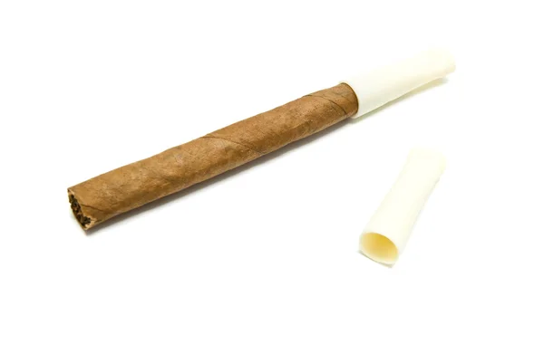 Single Cigarillo with mouthpiece — Stock Photo, Image
