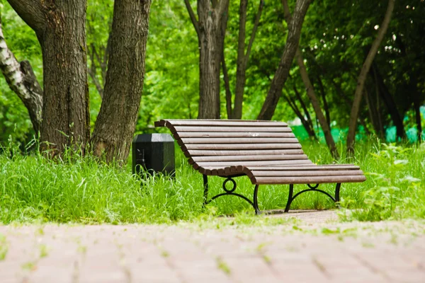 Bank im Park an einem sonnigen Sommertag — Stockfoto