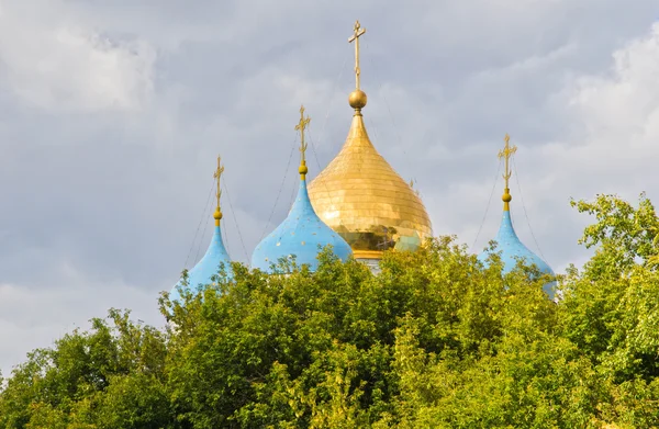 Kupolen i domkyrkan bland bladen — Stockfoto