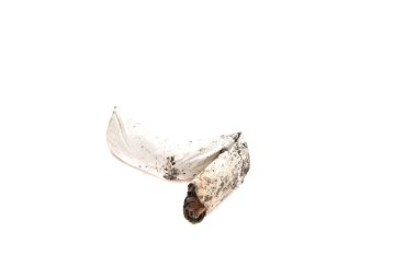 Tek sigara izmariti filtreli