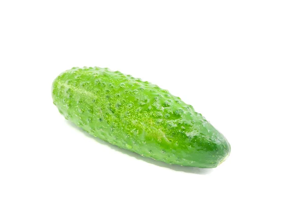 Fresh cucumber on white — Stock Photo, Image