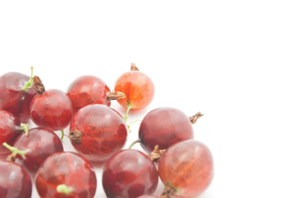 Rote Stachelbeeren auf weiß — Stockfoto