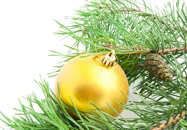 Ramo con coni e albero di Natale giocattolo — Foto Stock