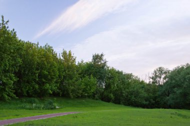 yaz günü parkın içinden yürüyüş yolu