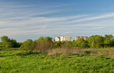 güneşli yaz park binalarda