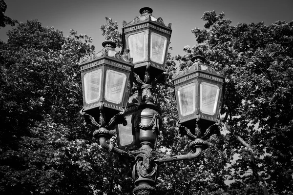 Iron lantern on the background of trees — Stock Photo, Image