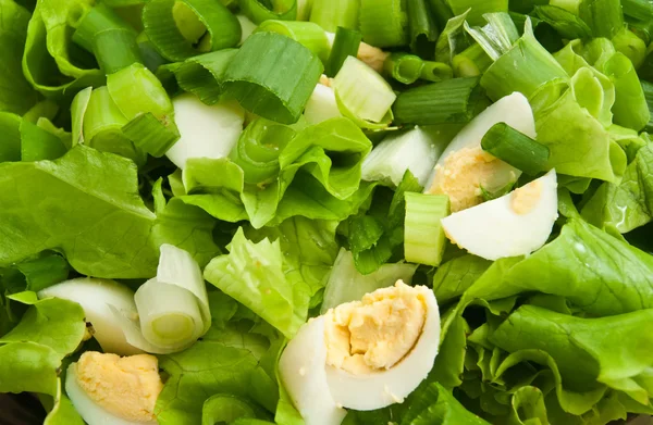 Salada vegetal com cebola e ovos — Fotografia de Stock